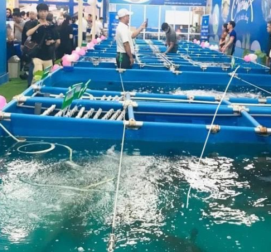 BẠT LÓT BỂ NUÔI LƯƠN GIÁ RẺ