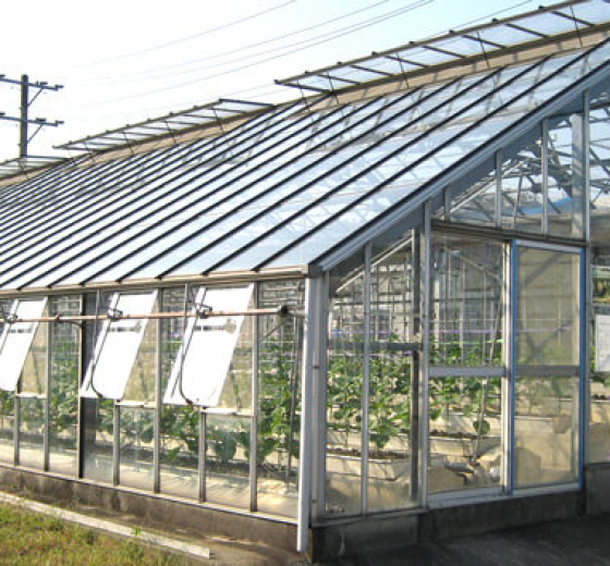 ĐIỂM DANH CÁC MẪU MÁI NHỰA LẤY SÁNG ĐẸP NHẤT HIỆN NAY