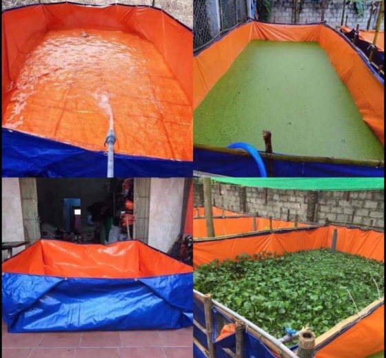 CHUYÊN SẢN XUẤT BẠT LÓT HỒ NUÔI TÔM, NUÔI CÁ, NUÔI ẾCH