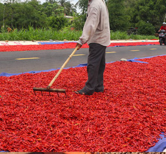 BẠT XANH CAM DÀY BỀN GIÁ SỈ TẠI KHO