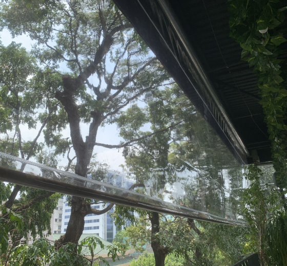 BẠT TRONG SUỐT: GIẢI PHÁP NGĂN MƯA NHƯNG VẪN ĐÓN NẮNG 