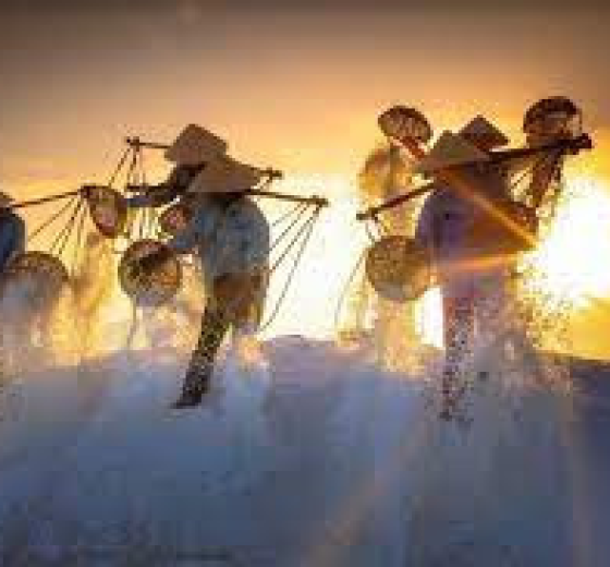 TỔNG KHO SỈ LẺ BẠT LÓT LÀM MUỐI GIÁ RẺ TPHCM