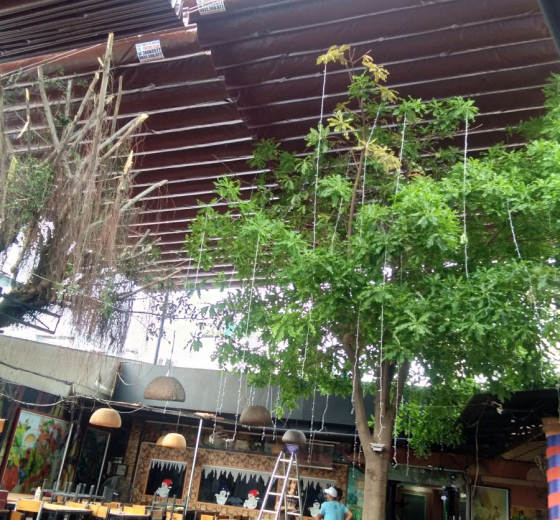 TƯ VẤN LÀM MÁI CHE GIÁ RẺ, ĐẸP, BỀN CHO KHÁCH HÀNG MỚI