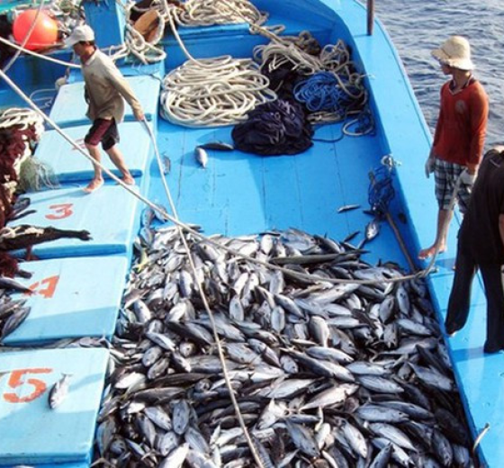 BẠT CHE TÀU THUYỀN, BẠT CHỐNG THẤM SIÊU BỀN CHỐNG CHỊU THỜI TIẾT TỐT