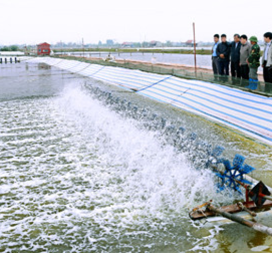 BẠT NUÔI TÔM CÁ THỦY SẢN GIÁ RẺ KHO CHUYÊN SỈ