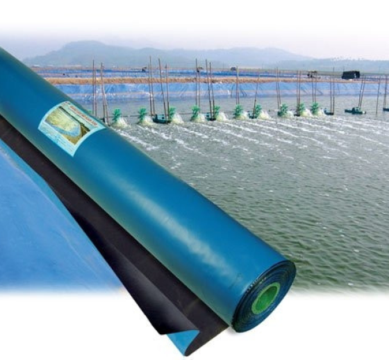 XƯỞNG BẠT LÓT AO GIÁ RẺ KIÊN GIANG, CUNG CẤP BẠT NUÔI TÔM CÁ THỦY SẢN