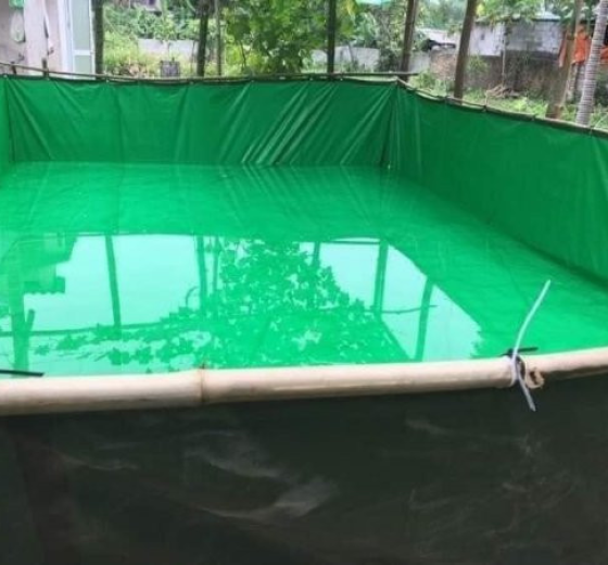CUNG CẤP BẠT NUÔI TÔM, BẠT LÓT AO HỒ TẠI BẾN TRE