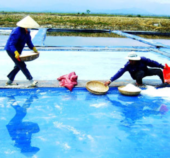 SẢN XUẤT BẠT LÓT RUỘNG MUỐI THEO YÊU CẦU GIÁ TỐT