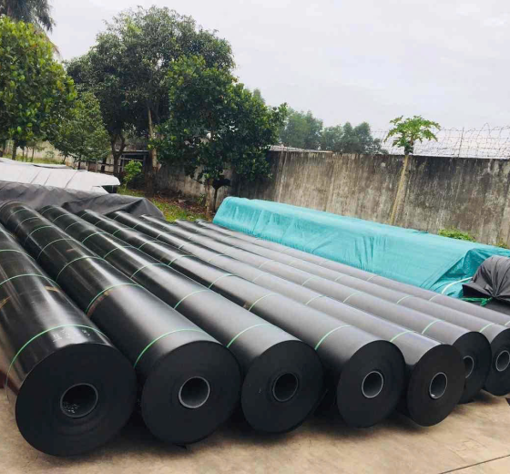 CÀ MAU BẠT LÓT HỒ TÔM, HỒ CÁ, BABA, THỦY SẢN GIÁ RẺ