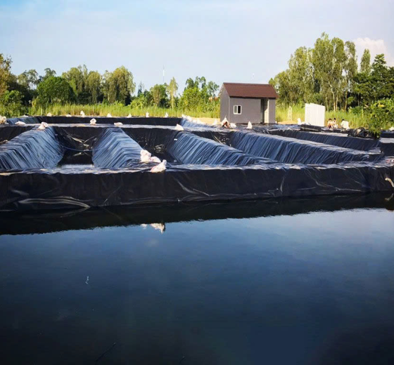 SẴN KHO BẠT LÓT AO HỒ ĐỦ LOẠI CUNG CẤP SỈ LẺ